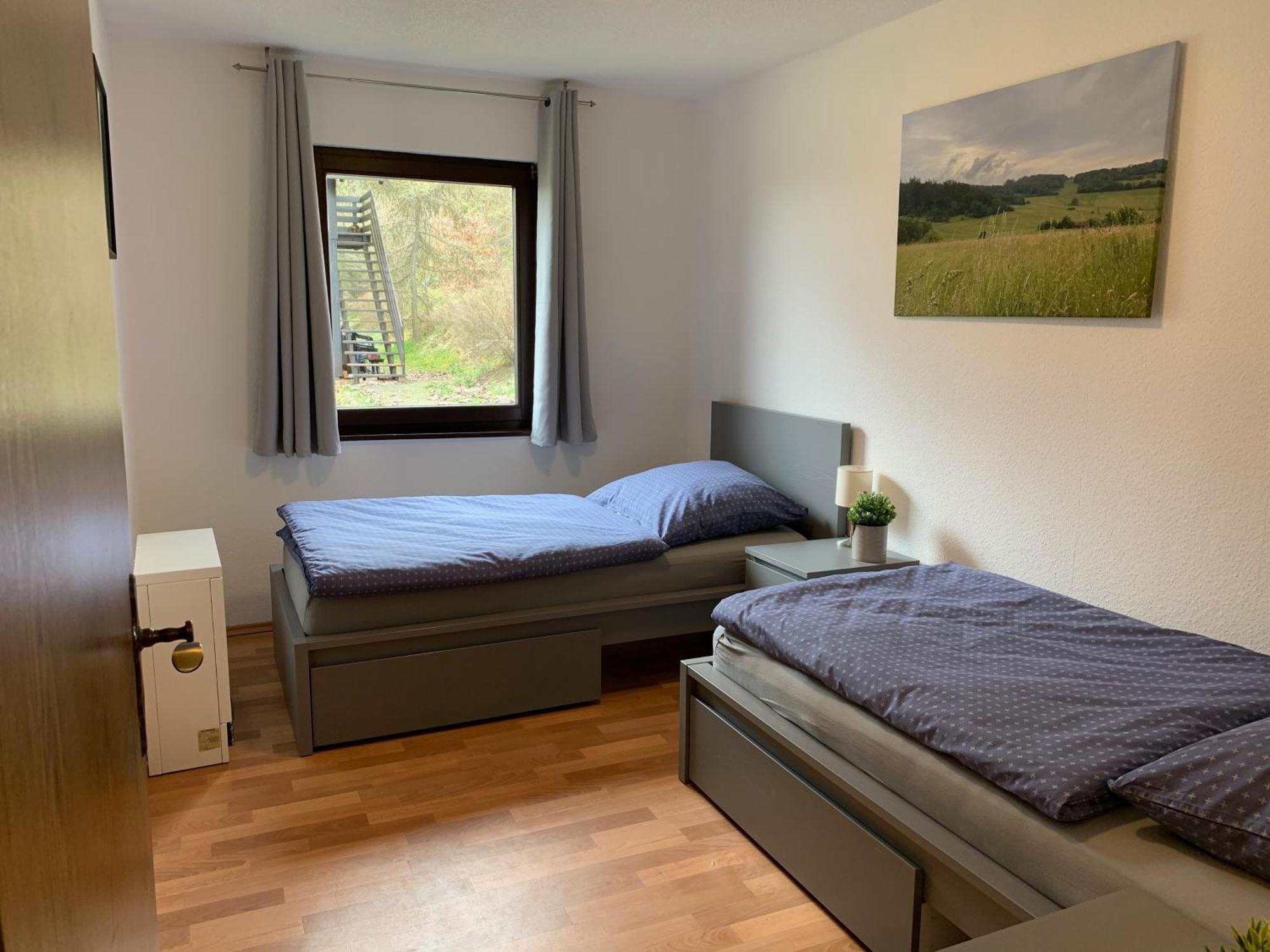 Ferienwohnung Mimo Direkt Am Waldrand Frankenau Экстерьер фото